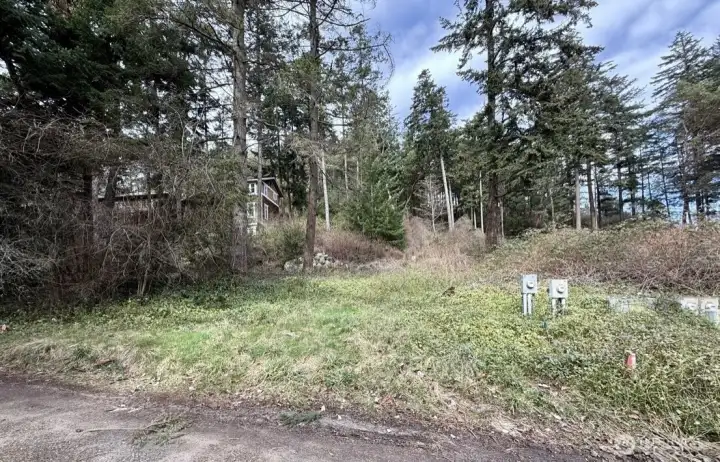 Partially tree'd lot and largely cleared on the southern portion of the lot.