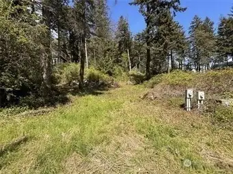 The lot is gently sloped. This view is while standing on the Southern border of the property and looking North towards Geer Ln.