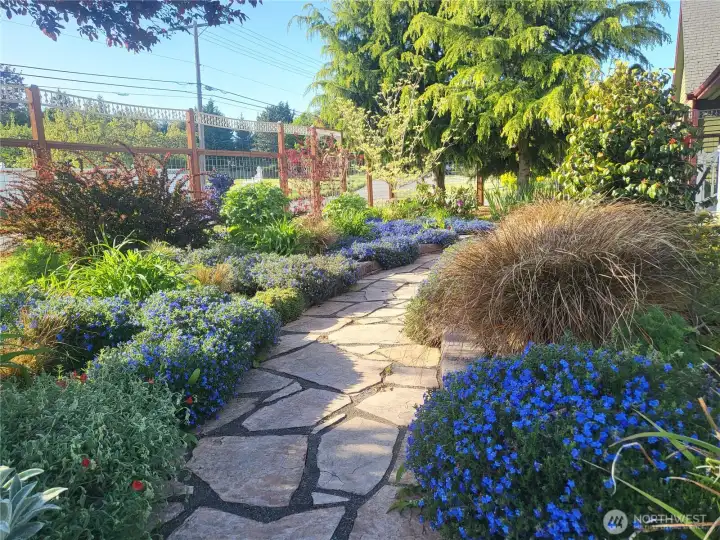 Curving stone path through mature, layered plantings and blooming groundcovers—colorful, low-maintenance front garden that welcomes you home.