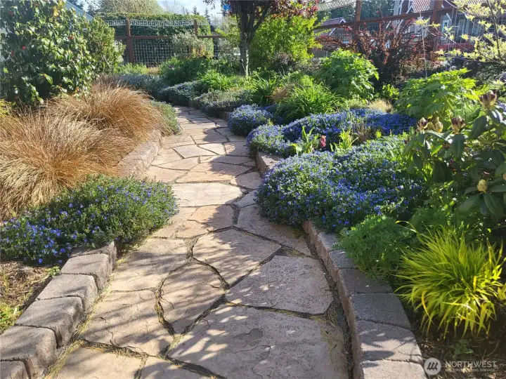 Meandering stone pathway set among mature plantings and flowering groundcovers—an irrigated garden designed for color, texture, and ease.