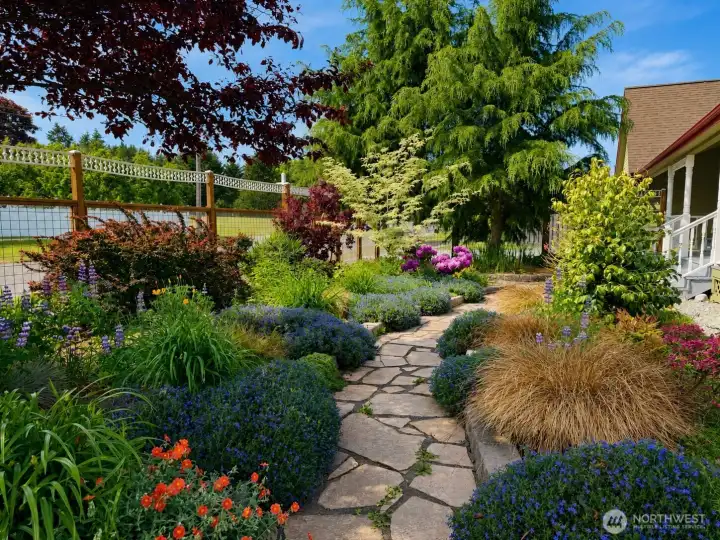 Curated garden, fully irrigated Curated garden, fully irrigated