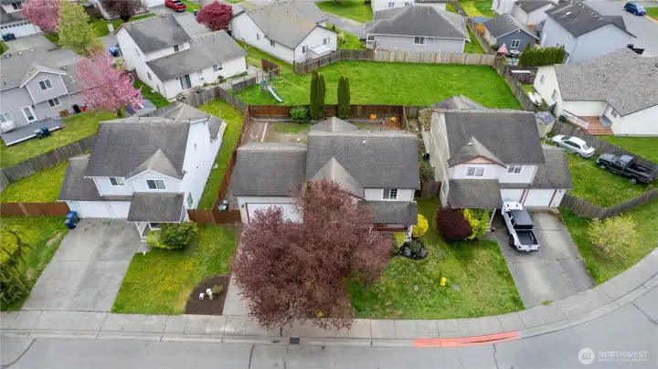 Ample street parking