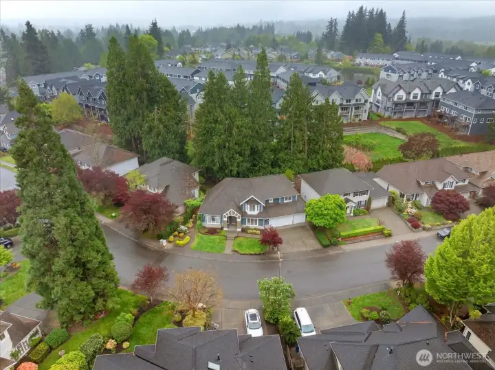 Backs to greenspace, wide lot for complete privacy