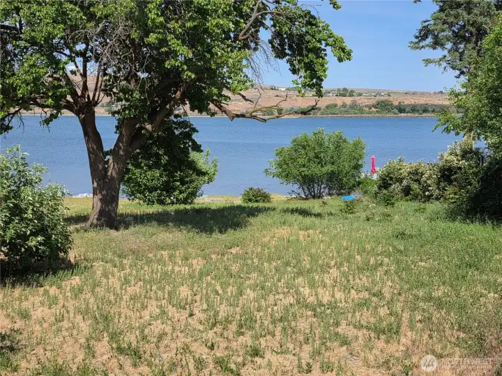 Gentle slope to the lake