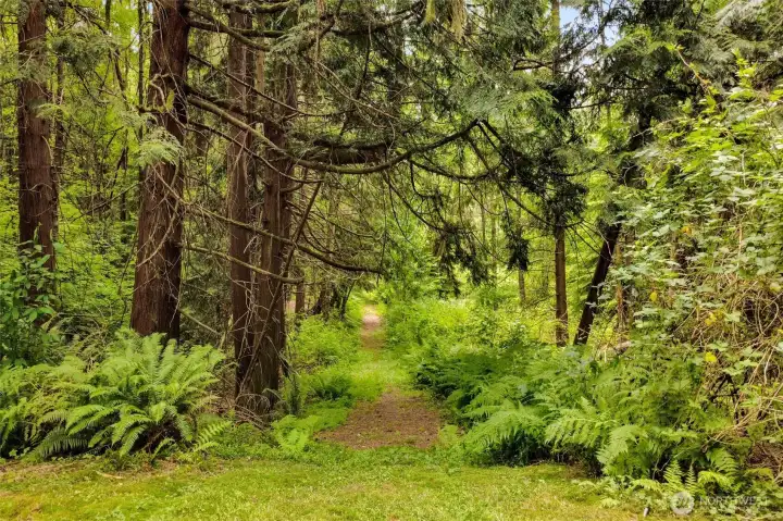 Awesome trails! Awesome trails!