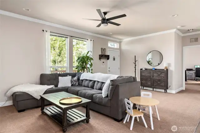 Living room has lots of natural light.