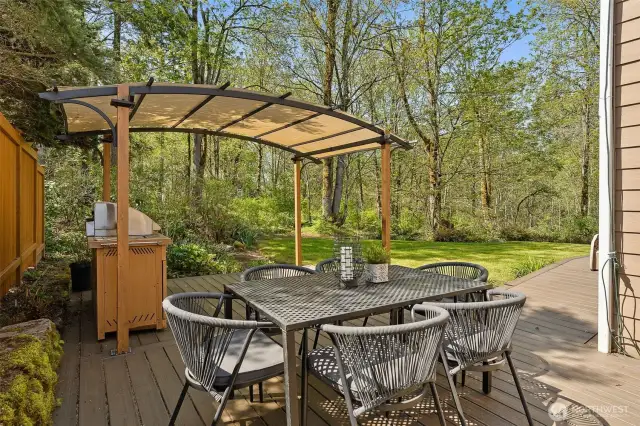 Large Trex deck!