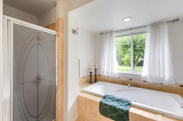 Lower level Bath shower/walk in shower