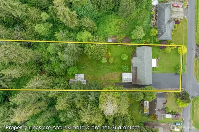 Overhead drone