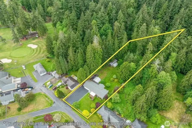 Overhead drone