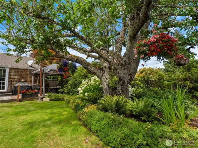 This backyard has a plush lawn surrounded by mature landscaping.