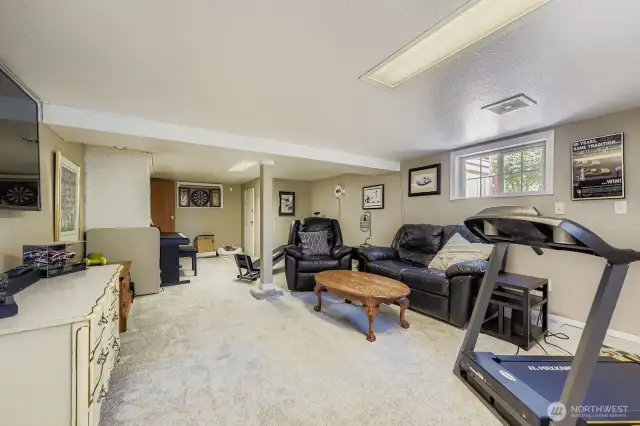 Basement multi-functional - TV room, exercise space
