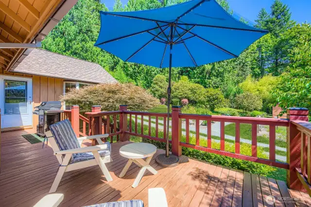 Deck overlooks amazing vegetable garden and chicken coop