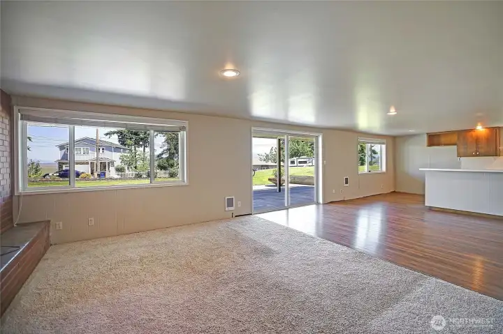 Lower level living/2nd kitchen.
