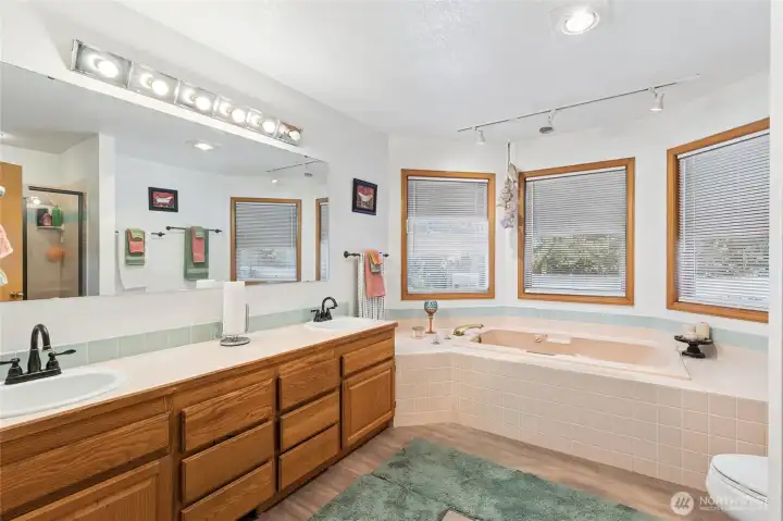 Master Bath w/jacuzzi tub