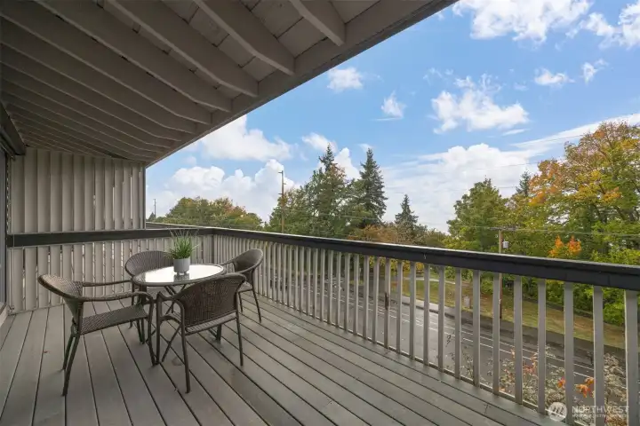 The views take in Boulevard Park and the bay (when more leaves fall off the trees)  from the upper deck off the living room.