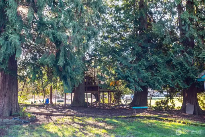 Your own private playground, fully fenced, on the lot.