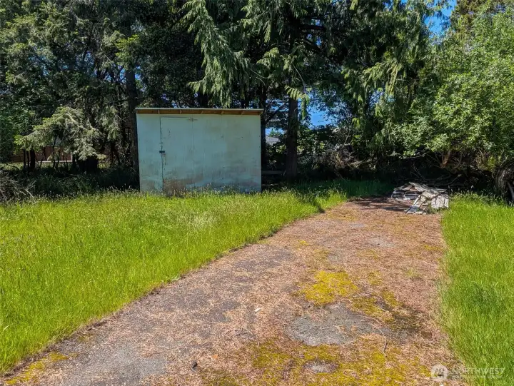 Shed in Back yard