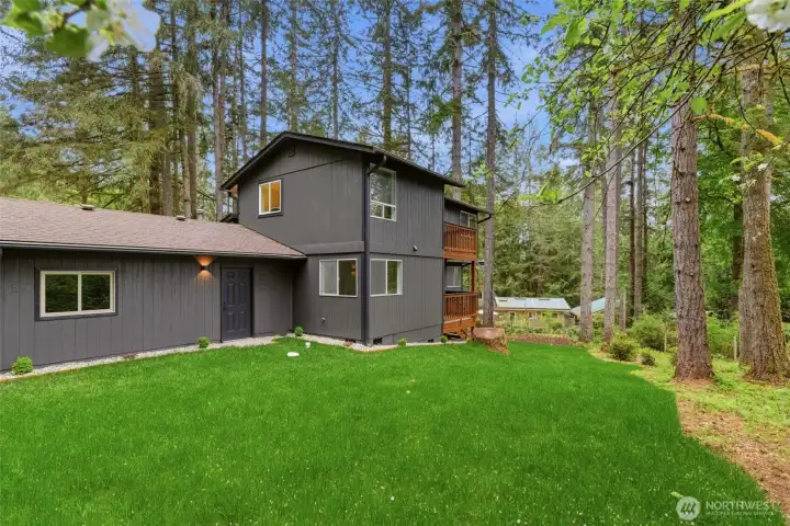 Beautiful Wooded Backyard