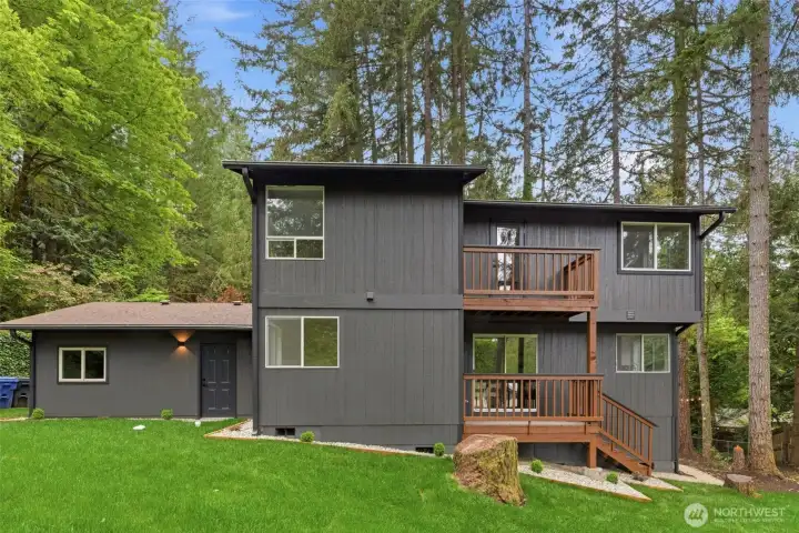 Beautiful Wooded Backyard