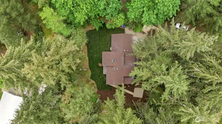 Beautiful Wooded West Olympia Area