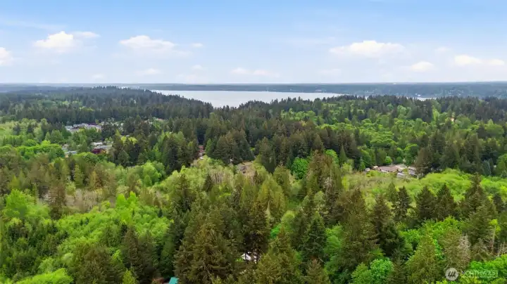 Beautiful Wooded West Olympia Area