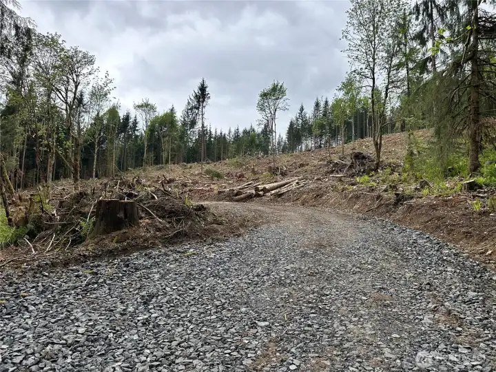 Gravel driveway to enter the property off of S. Carpenter Rd