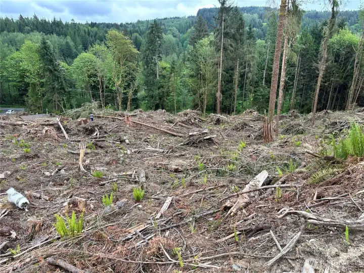 It is nearly level at the top