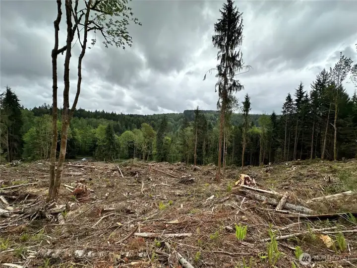 Level area at the top of the lot
