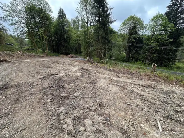 The top of the logging road is clear and about 1/4 way up the lot.