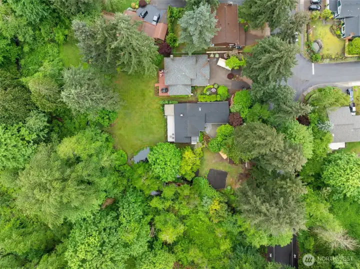 Mature trees and lush landscaping frame the expansive grounds provide privacy and beauty.