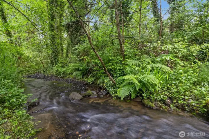 Picturesque stream winds through the lush park-like landscape.