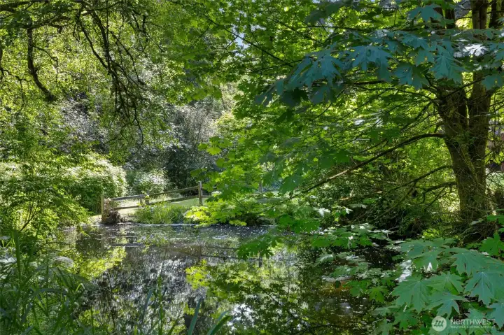Peaceful Trout-Filled Pond. Connected to the nearby creek and surrounded by peaceful natural beauty.