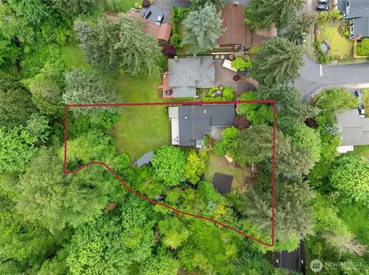 Property Outline Aerial. Over 3/4 Acre in Kirkland - Rare 33,000+ SF property offering privacy, usable outdoor space, creek frontage, and direct access to nature.