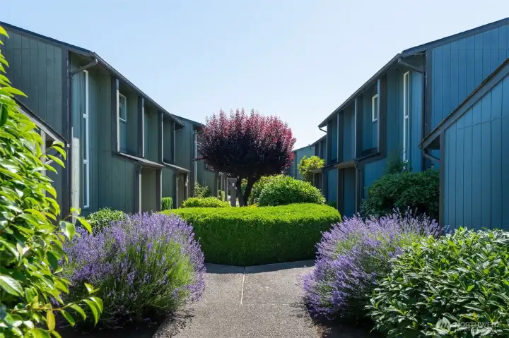Your walkway to your new home!
