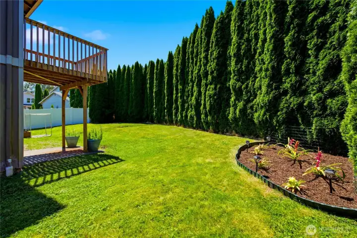 A large yard with elbow room that doesn't compete with what the neighbors are doing A large yard with elbow room that doesn't compete with what the neighbors are doing