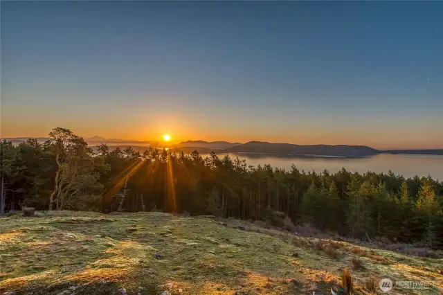 Good Morning Sunshine!!!!!