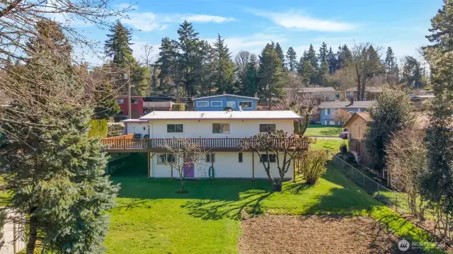 Large yard with fruit trees and space for a garden