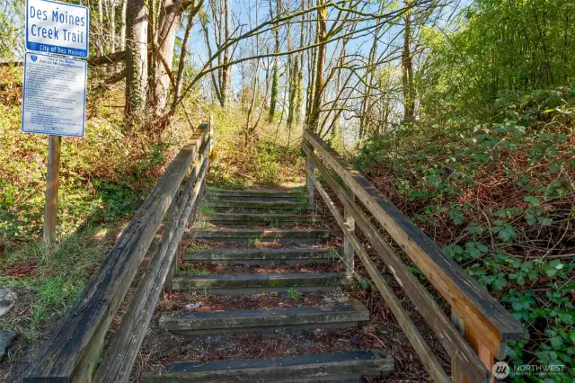 Des Moines Creek trail is a few houses down, and takes you down to beach!!