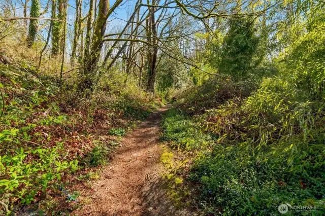 Des Moines Creek Trail great for walking