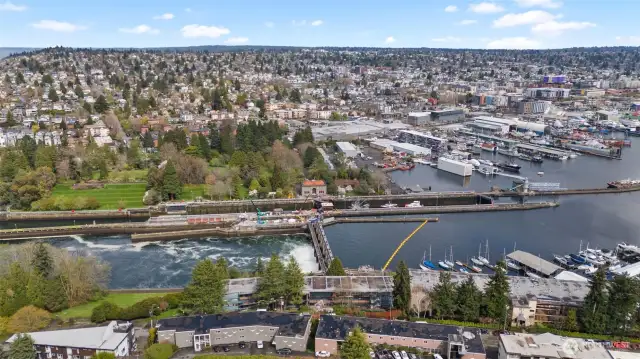 Ballard Locks