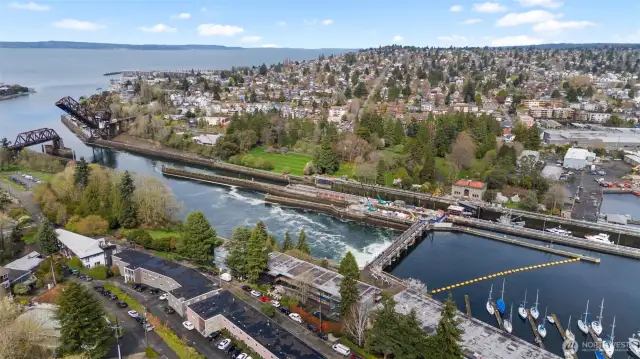 Ballard Locks