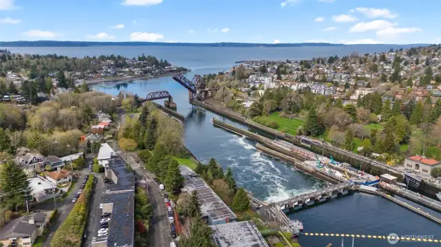 Ballard Locks