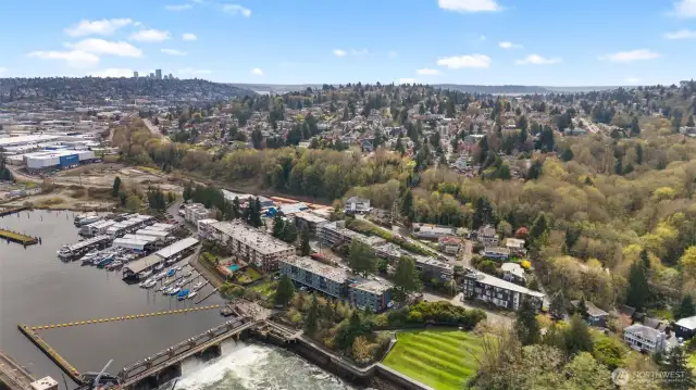 Ballard Locks