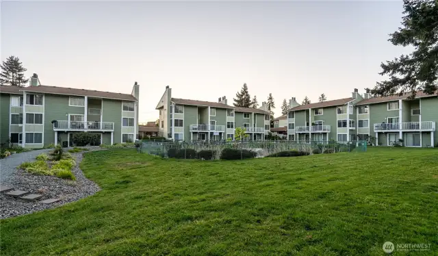 Pond and grassy area- view from patio