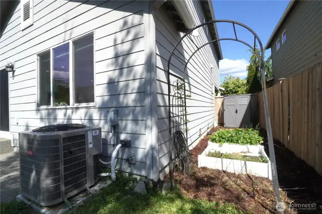 Garden space and strawberry plants