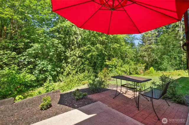 View from the back patio