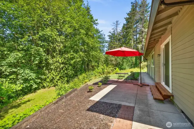 Back patio