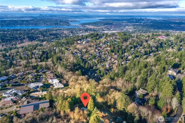 Just minutes from all amenities, easy commute to DT Bellevue & Seattle.