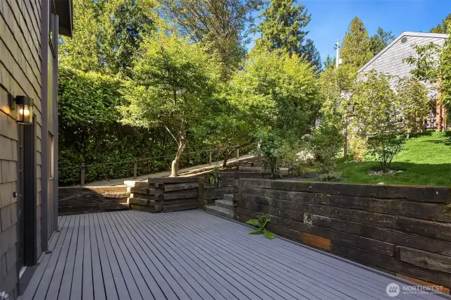 Deck and orchard: blueberries, apples, figs...
